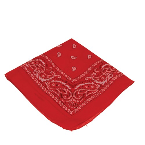 Red Bandanas<br>1 dozen